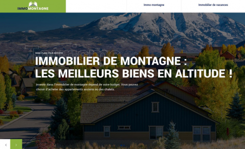 https://www.immomontagne.com